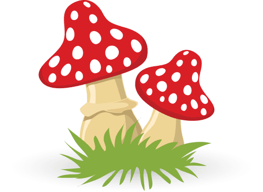 mushrooms